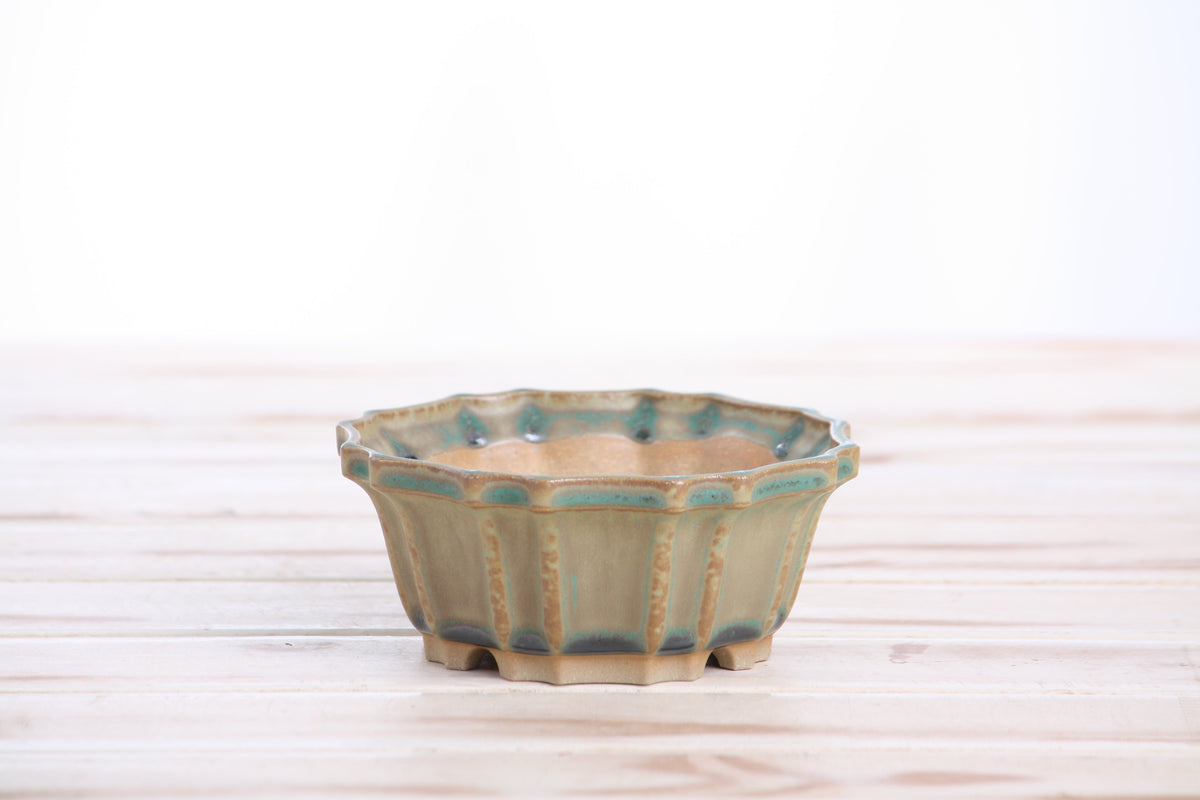 Angled view of the muted moss-green flower-shaped bonsai pot showing its rim and side profile