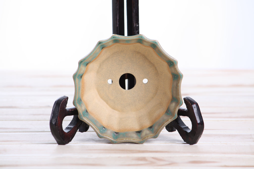 Interior view of the muted moss-green flower-shaped bonsai pot showing a central drainage hole and two smaller openings