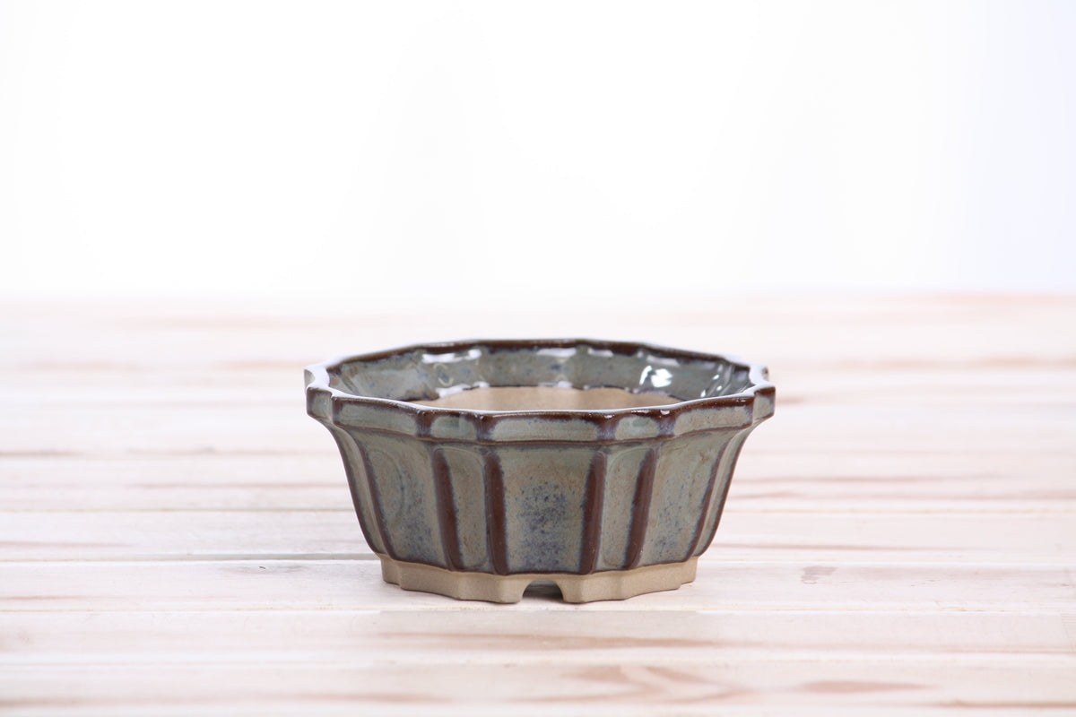 Front view of the gray-blue flower-shaped bonsai pot on a pale wooden surface