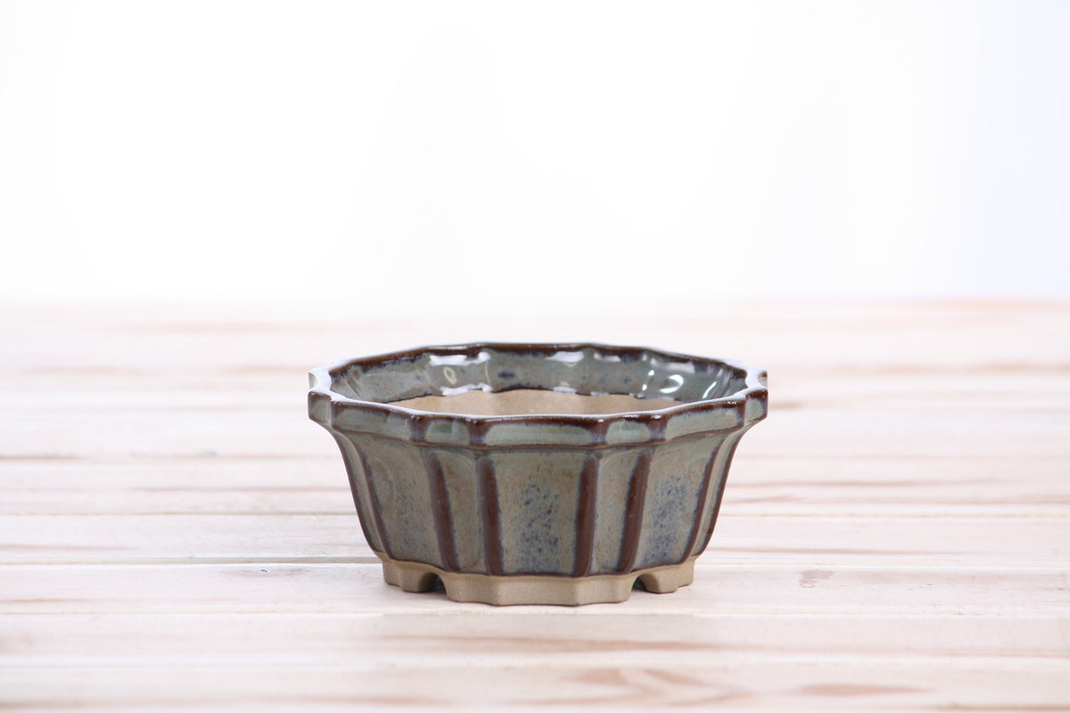 Angled view of the gray-blue flower-shaped bonsai pot showing its rim and side profile