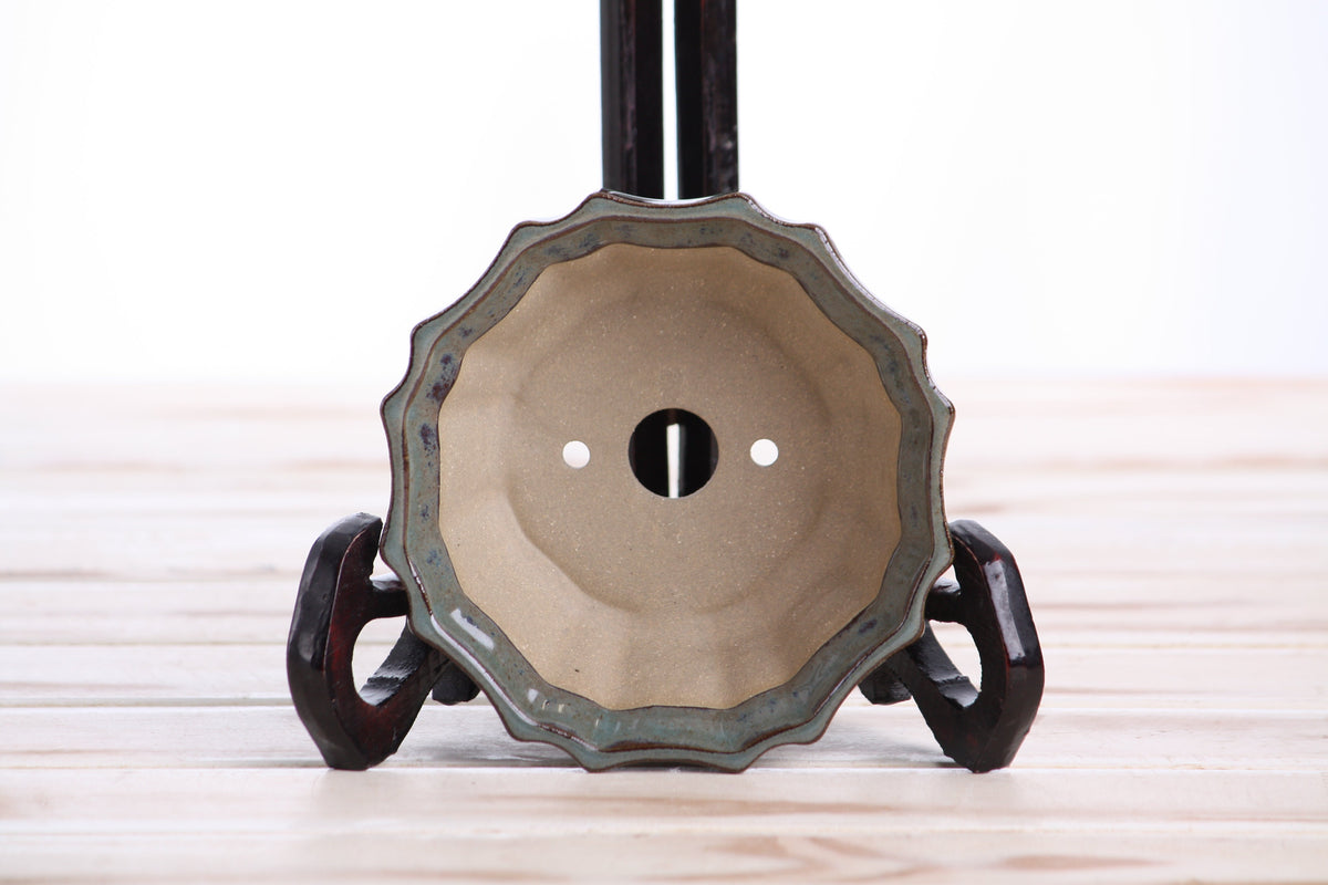 Interior view of the gray-blue flower-shaped bonsai pot showing a central drainage hole and two smaller openings