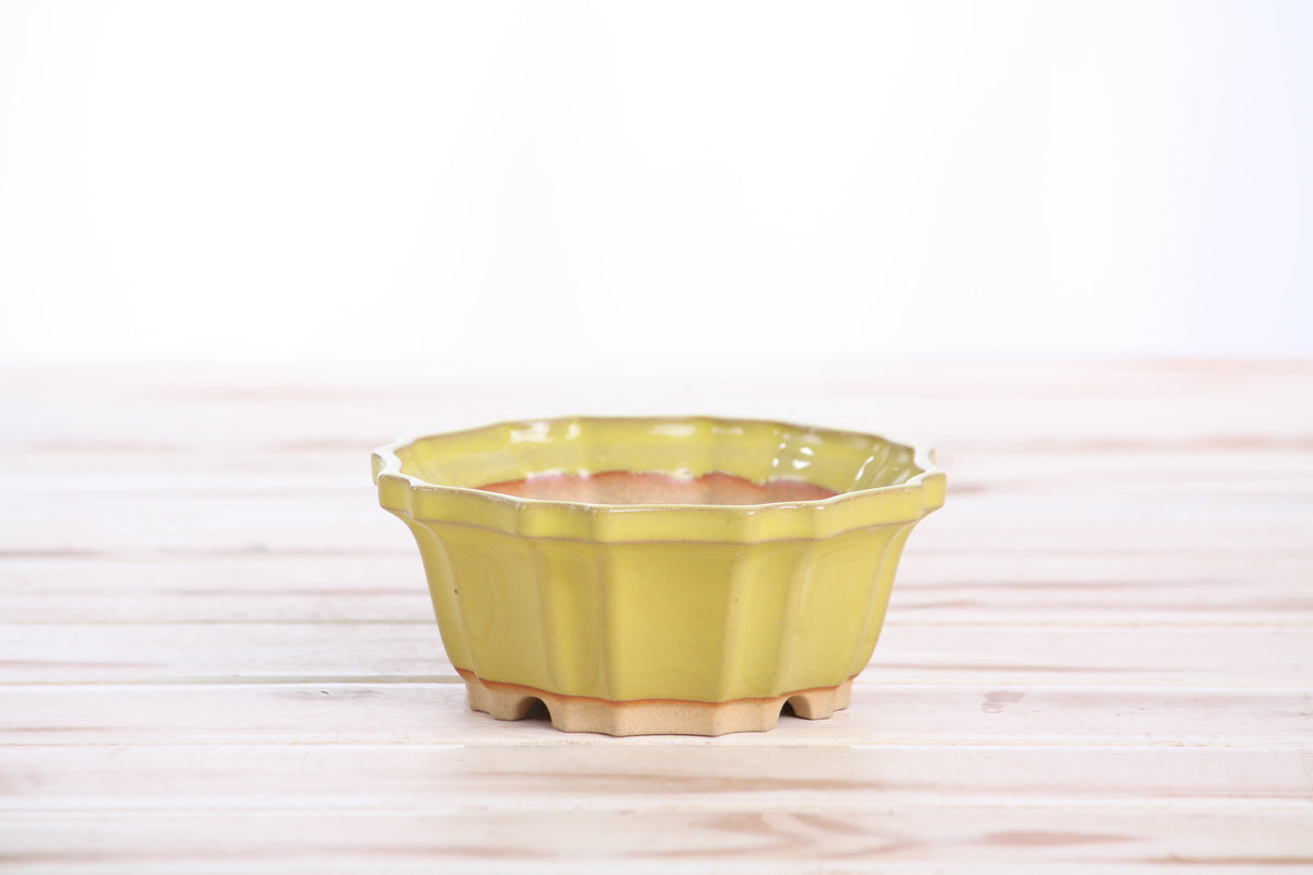 Angled view of the yellow flower-shaped bonsai pot showing its rim and side profile