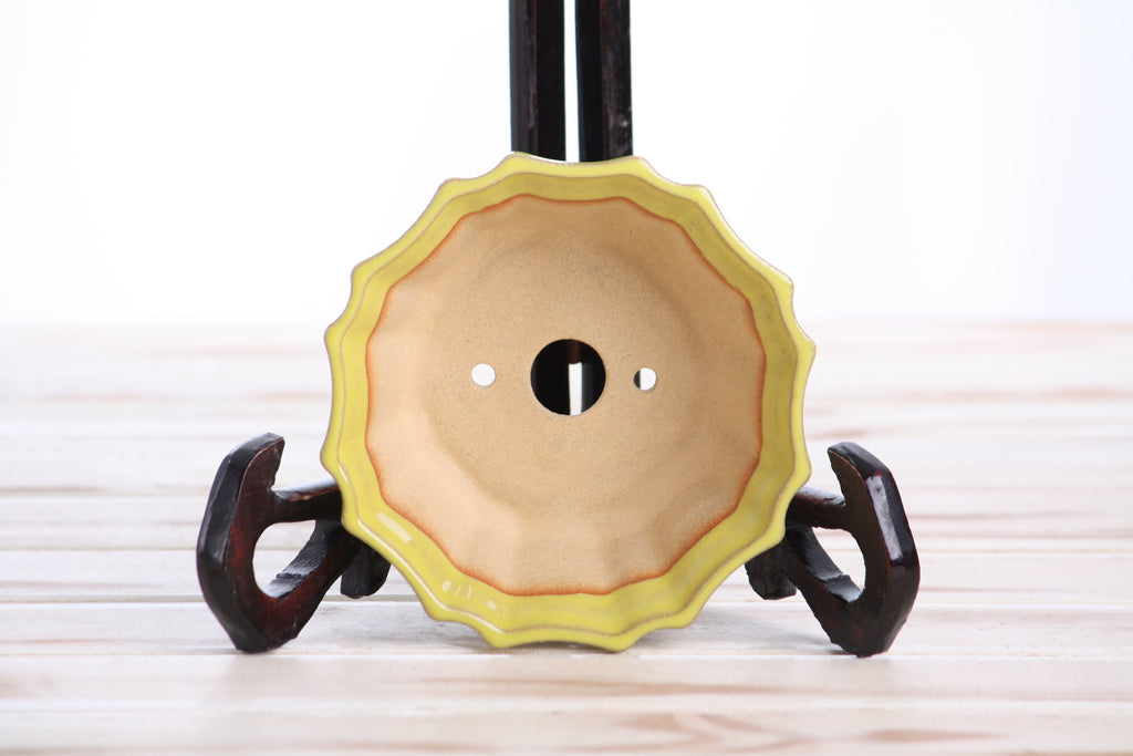 Interior of the yellow flower-shaped bonsai pot showing a central drainage hole and two smaller openings
