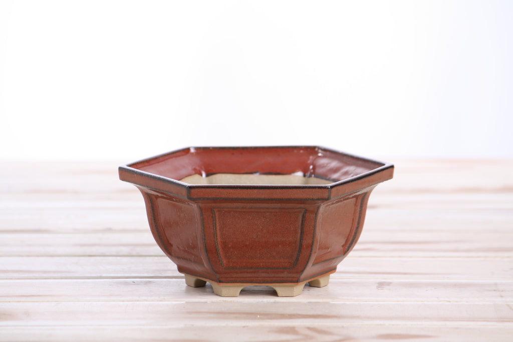 Front view of the rust-red hexagonal bonsai pot on a pale wooden surface