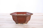 Front view of the rust-red hexagonal bonsai pot on a pale wooden surface
