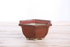 Angled view of the rust-red hexagonal bonsai pot showing its rim and side profile