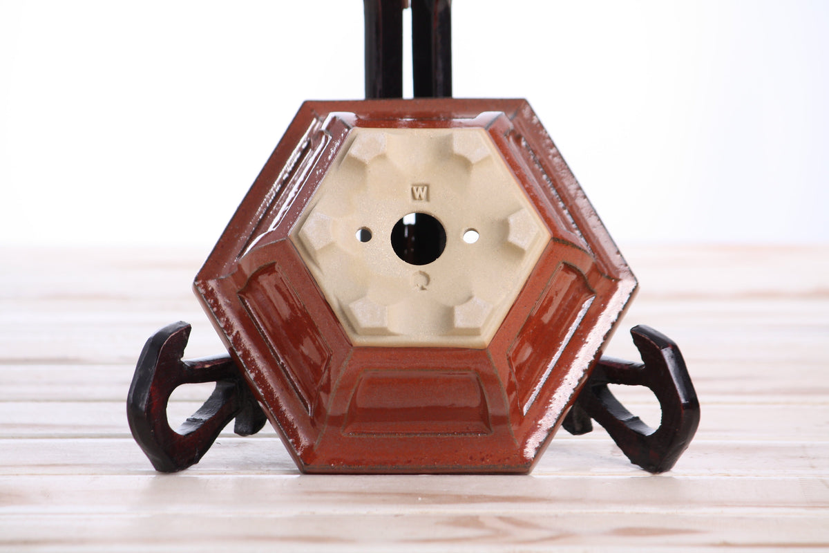Underside of the rust-red hexagonal bonsai pot showing drainage openings, feet and impressed maker's marks