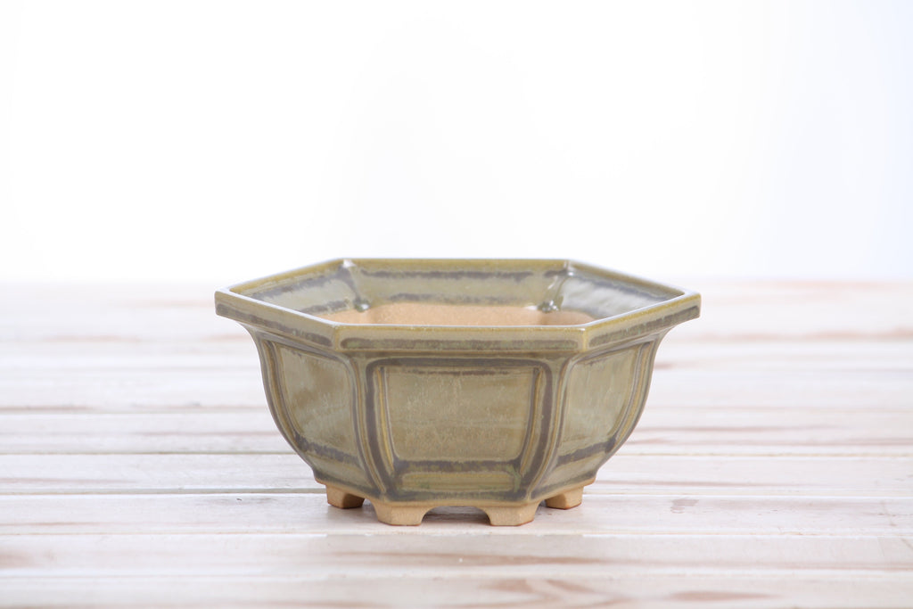 Front view of the pale olive-gray hexagonal bonsai pot on a pale wooden surface
