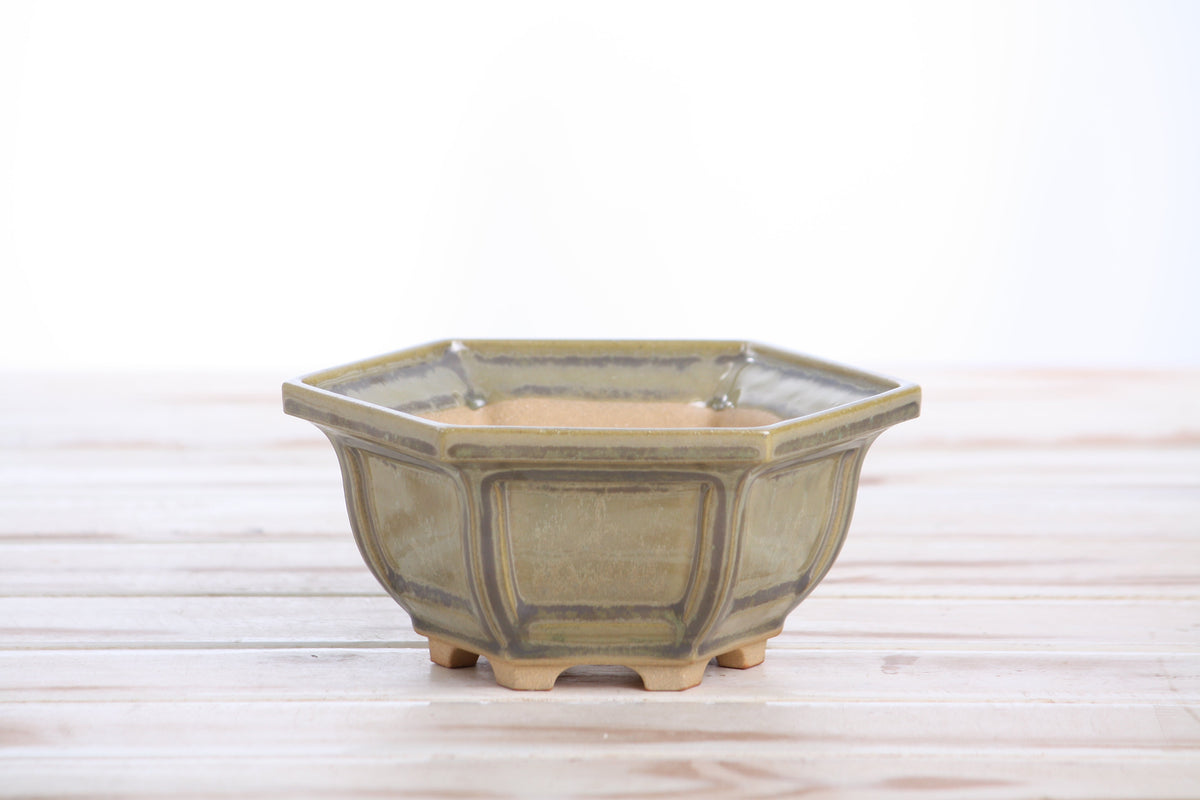 Front view of the pale olive-gray hexagonal bonsai pot on a pale wooden surface