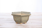 Angled view of the pale olive-gray hexagonal bonsai pot showing its rim and side profile