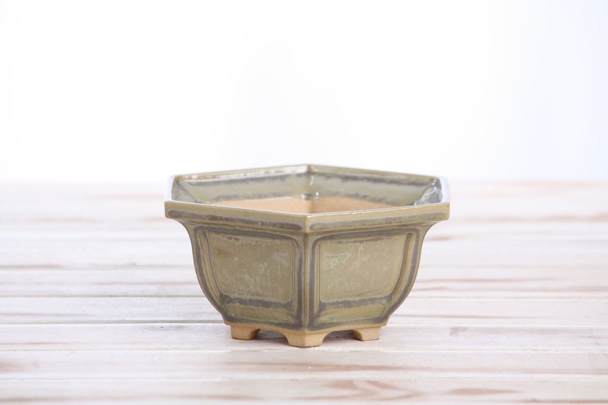 Angled view of the pale olive-gray hexagonal bonsai pot showing its rim and side profile
