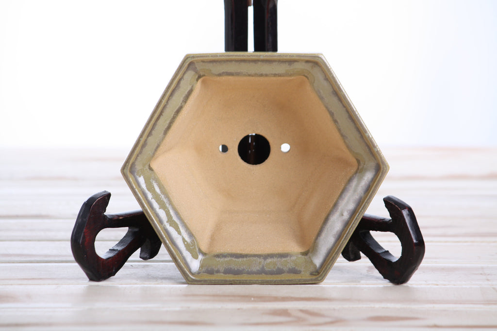 Interior view of the pale olive-gray hexagonal bonsai pot showing a central drainage hole and two smaller openings