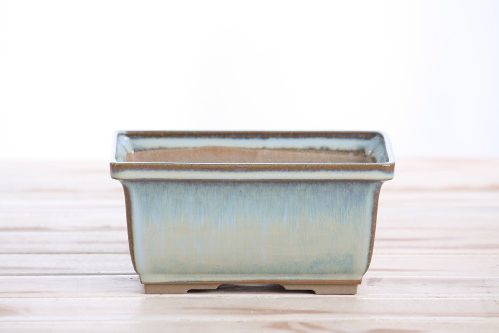 Front view of the pale blue rectangular bonsai pot on a pale wooden surface