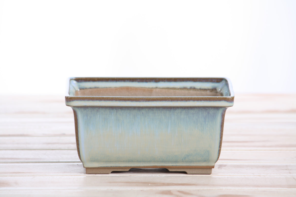 Front view of the pale blue rectangular bonsai pot on a pale wooden surface