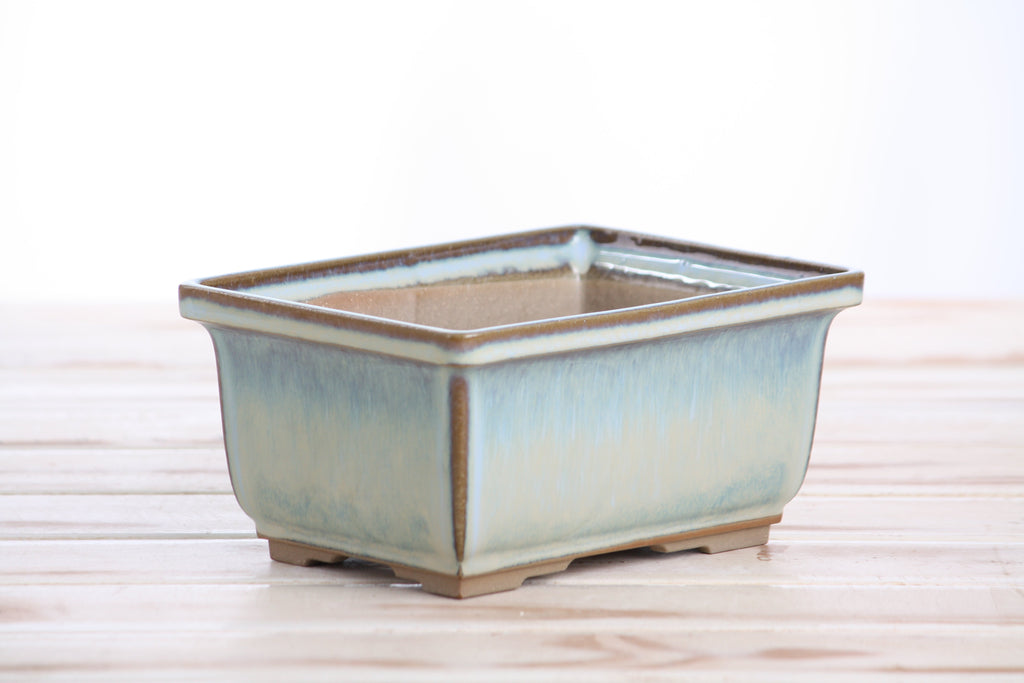 Angled view of the pale blue rectangular bonsai pot showing its rim and side profile