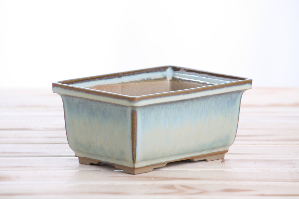 Angled view of the pale blue rectangular bonsai pot showing its rim and side profile