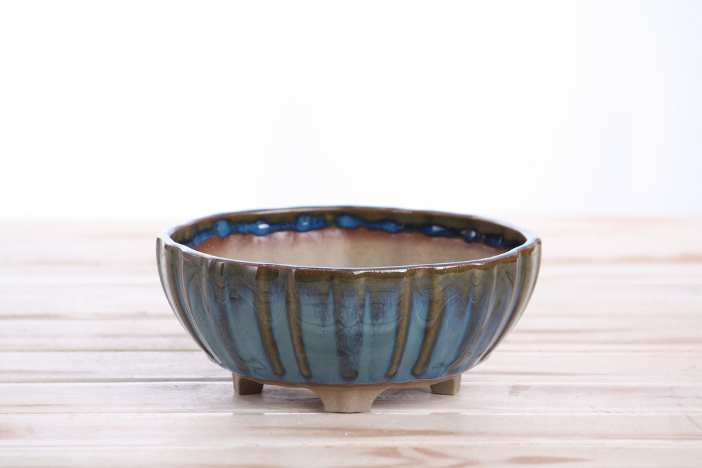 Angled view of the blue-green round fluted bonsai pot showing its rim and side profile