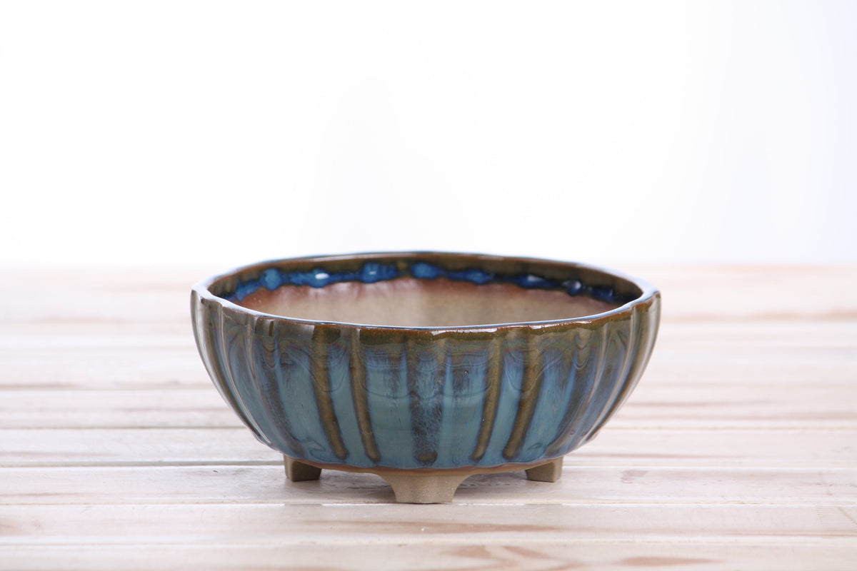Angled view of the blue-green round fluted bonsai pot showing its rim and side profile