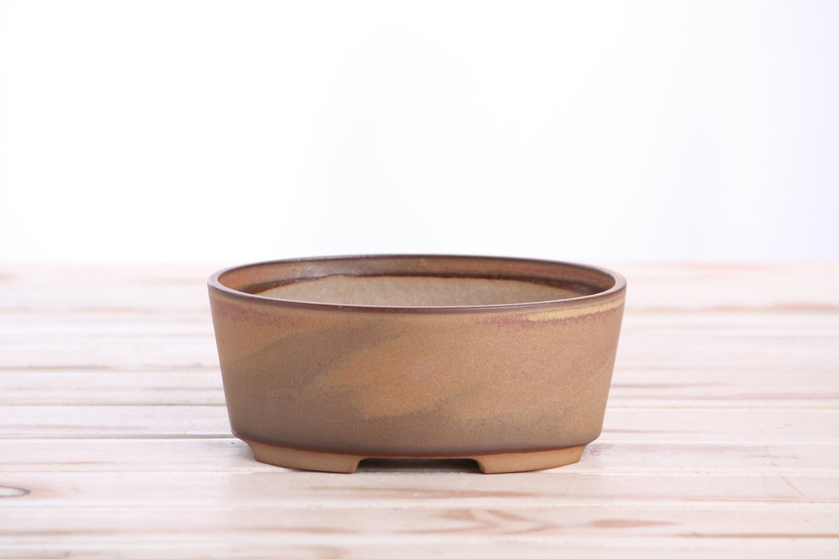 Front view of the tan-brown oval bonsai pot on a pale wooden surface