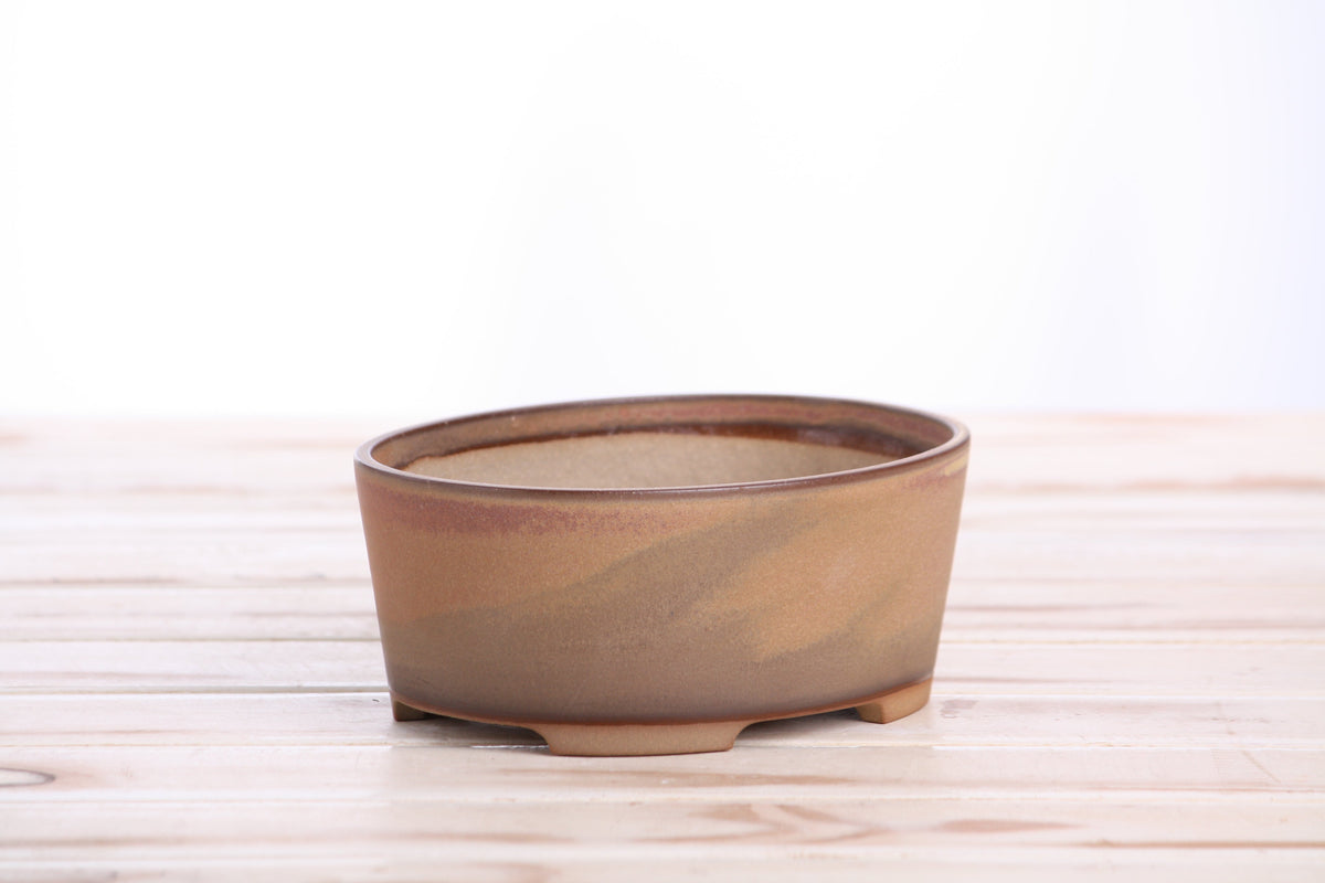 Angled view of the tan-brown oval bonsai pot showing its rim and side profile