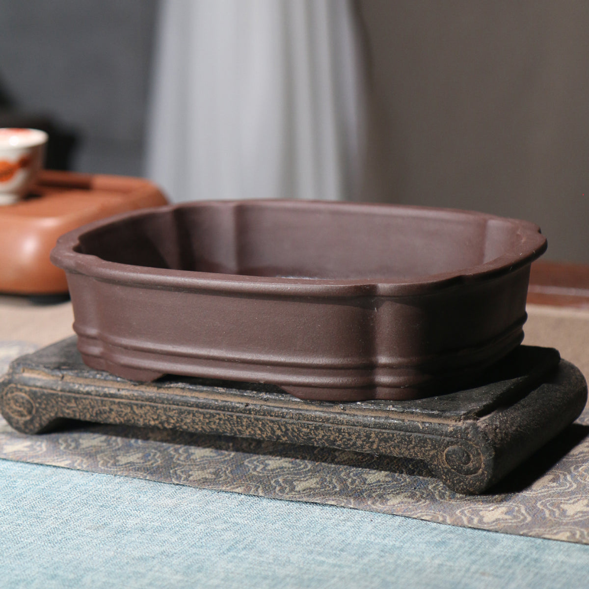 Scalloped rim and shallow profile of bonsai pot
