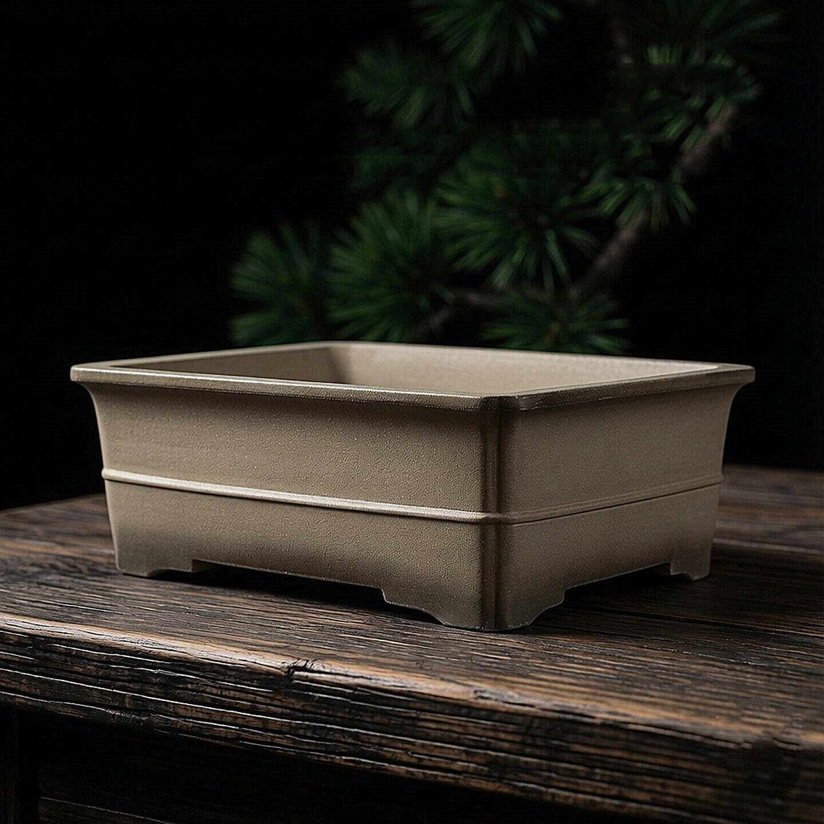 Taupe rectangular bonsai pot with horizontal band and notched base