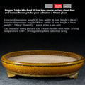 Amber-glazed oval bonsai pot with a double rim and short decorative feet, with dimensions above