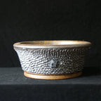 Alternate side of scale-textured bonsai pot showing small raised ornament
