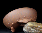 Brown studded round pot tilted on a rock to show its feet