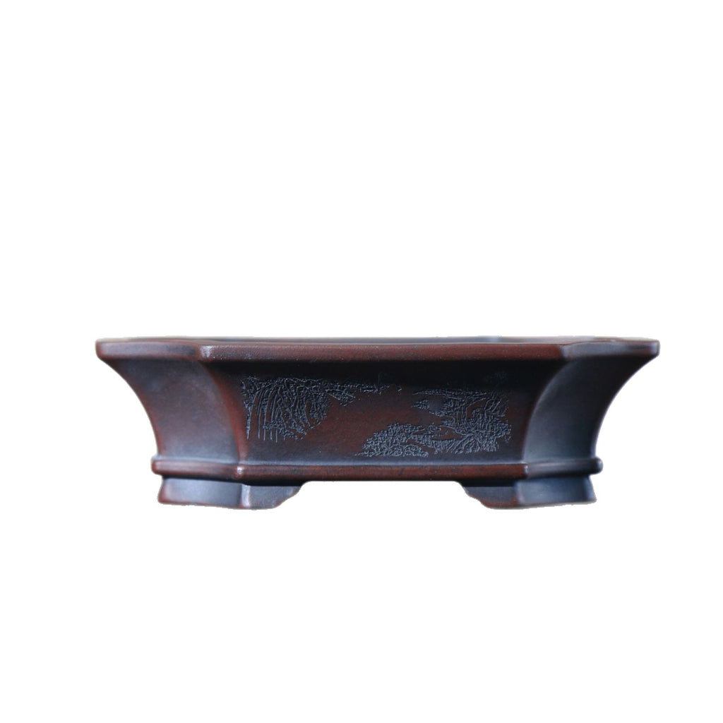 Dark-brown mokko bonsai pot on white background