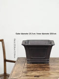 Dark square bonsai pot with diameter and height labels