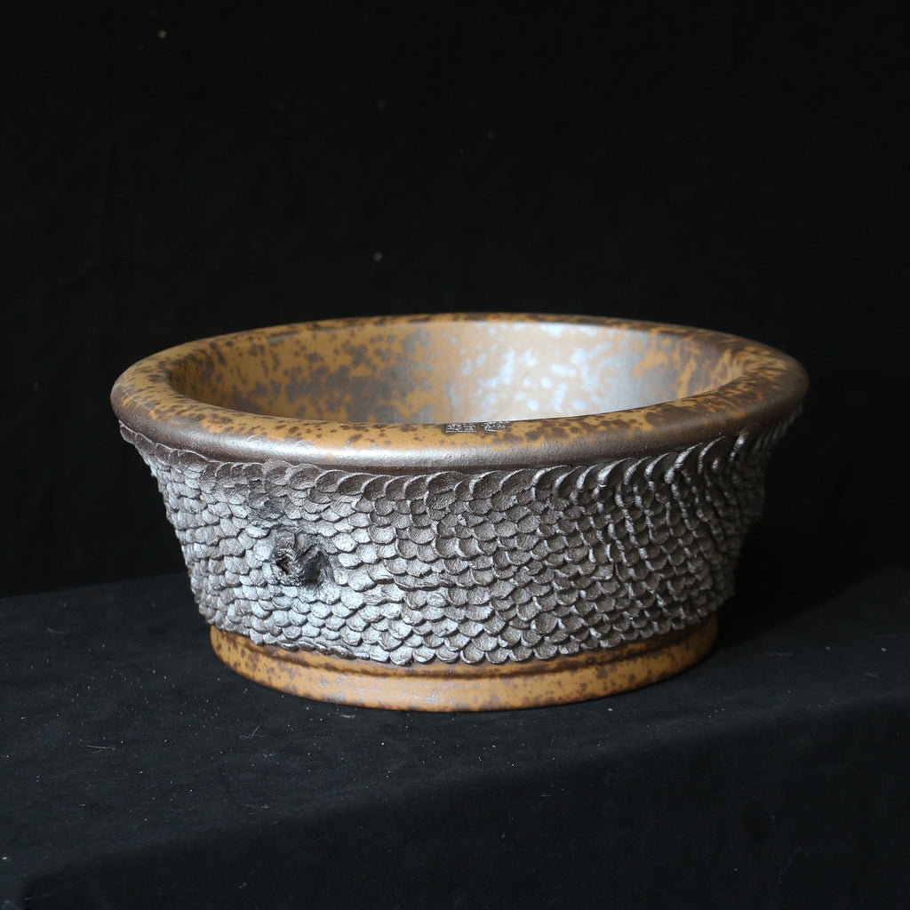 Round bonsai pot with silver-gray scale texture and mottled amber rim, angled view