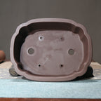 Interior root space of scalloped rectangular bonsai pot