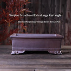 Front profile of purple-brown rectangular pot with product text above