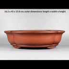 Front profile of red-orange lobed pot with measurement labels