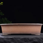 Brown rectangular bonsai pot with flared rim and low feet