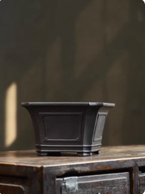 Side profile of dark square bonsai pot on wooden cabinet