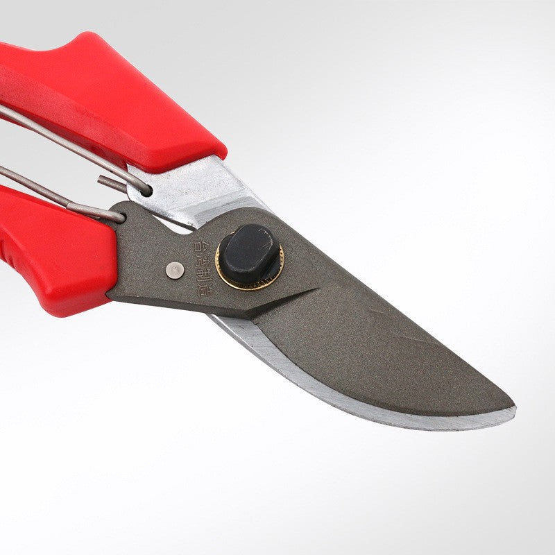 Close-up of the shears' dark blade, pivot bolt and red handle