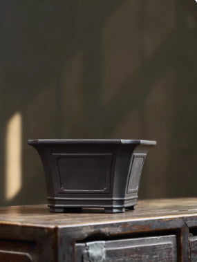 Dark square bonsai pot on a wooden cabinet, front view