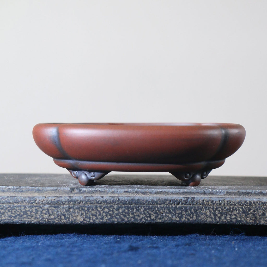 Red-brown lobed bonsai pot with dark accents and curled feet