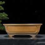 Ochre oval bonsai pot with recessed side panel and sculpted feet